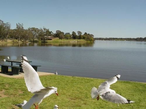 Centre Town Motel Nagambie Exterior foto